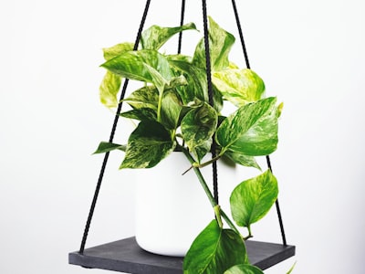 网球大满贯赛事赛后采访 - 冠军选手高举奖杯庆祝胜利